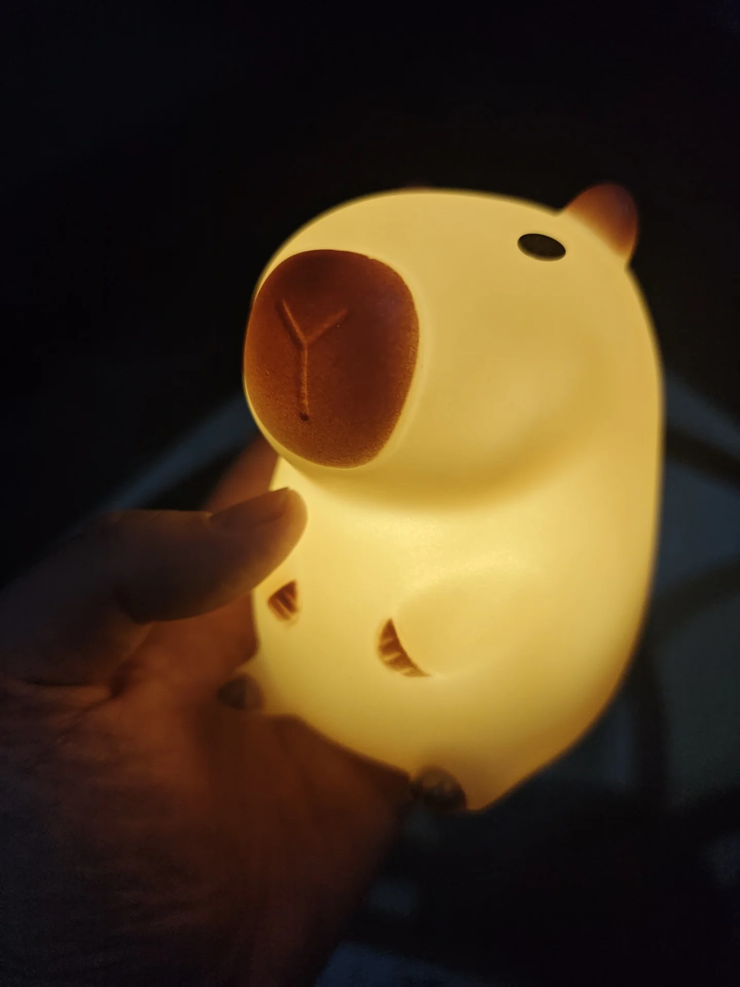 Cute Pet Capybara Night Light  - đánh giá và giá Decor Lighting Sales